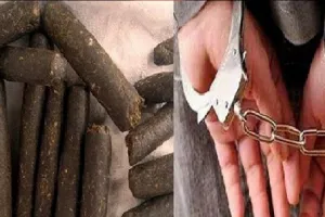 रुद्रपुर: 12 लाख रुपये कीमत की चरस के साथ पूर्व बीडीसी सदस्य गिरफ्तार
