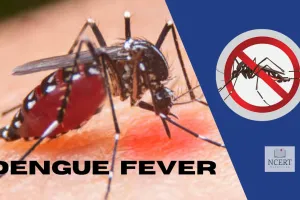 शाहजहांपुर: कांट में डेंगू से शिक्षिका की मौत