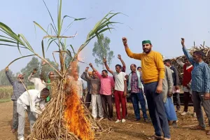 संभल : किसानों ने जलाई गन्ने की होली, किया प्रदर्शन