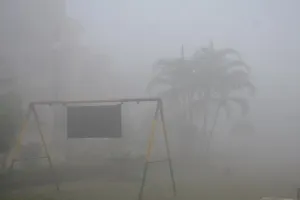 मुरादाबाद: कोहरे ने बढ़ाई ठंड, रात से लेकर सुबह तक छाया रहा कोहरा