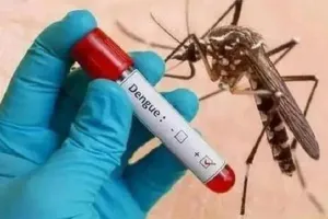 रामपुर: मसवासी में डेंगू बुखार से विवाहिता समेत दो की मौत...लेकिन स्वास्थ्य विभाग के आंकड़े अभी भी खाली