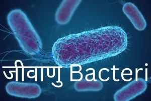 'यादों को सहेज कर रखते हैं जीवाणु और पीढ़ियों को बढ़ाते हैं आगे', अध्ययन में चला पता