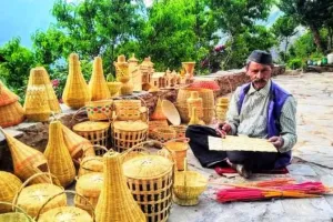 भीमताल: तंत्र की बेरुखी से गरीबी का दंश झेल रहे तोक बैड़ी के निवासी 