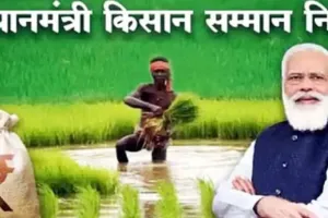 Etawah News: त्योहार पर सम्मान निधि मिलते ही खिले किसानों के चेहरे... एक किस्त के पैसे खाते में पहुंचे