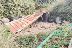 प्रयागराज: अनियंत्रित ट्रक रेलिंग तोड़कर 20 फीट नीचे शुआट्स में गिरा, टला बड़ा हादसा
