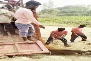 रायबरेली: ट्रैक्टर से गोवंशों के घसीटने का वीडियो हुआ वायरल, एसडीएम ने दिए जांच के आदेश