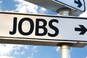 DPCC में इस पद पर निकली वैकेंसी, यहां जानें आवदेन का तरीका और लास्ट डेट