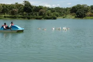 कुछ दिन साफ हवा में लेना चाहते हैं सांस, भारत के इन शहरों में घूमने का बना सकते हैं प्लान  