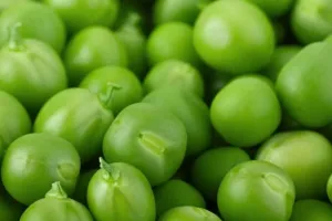 सर्दियों में शरीर को स्वस्थ रखने के लिए बेहद कारगर है हरी मटर, जानें इसे खाने के फायदे 