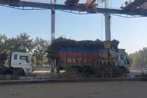 अंबेडकरनगर: अकबरपुर चीनी मिल ने किसानों के खाते में भेजे 12 करोड़ रुपए, अब तक 22 लाख कुंतल गन्ने की हुई पेराई 