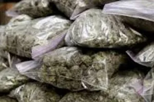 मध्यप्रदेश: कार से 212 किलो से अधिक गांजा जप्त, एक फरार और एक गिरफ्तार