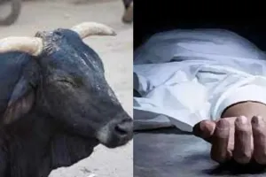 शाहजहांपुर: सांड के हमले में घायल किसान नेता के भाई की मौत