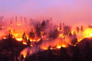 नैनीताल: शुष्क मौसम के चलते वनों को आग से नुकसान का अंदेशा