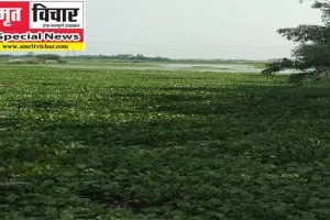 रायबरेली: नौ करोड़ का बजट हुआ लापता, किसानों की जमीनों के लिए अभिशाप बनीं बकुलाही झील!