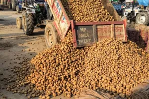 Farrukhabad से Assam भेजा जाएगा 21 हजार कुंतल आलू, किसान और व्यापारियों ने मिल कर बुक कर बाई 42 डिब्बे की रैक