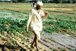 नैनीताल: पहाड़ों में मौसम का तेवर देख काश्तकारों की चिन्ता बढ़ी 