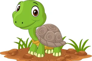 हल्द्वानी में बनेगा राज्य का पहला टर्टल ट्रांजिट सेंटर