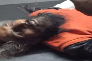 बहराइच: तहसीलदार ने वृद्ध के पक्ष में सुनाया  फैसला, तो नाराज दबंगों ने किया हमला, रेफर