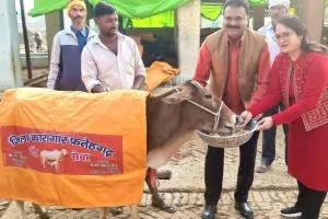 Farrukhabad: अटल बिहारी वाजपेई के जन्मदिन पर 100 गायों को पहनाये कोट, गुण चना खिला जेलाधीक्षक ने सपत्नीक गायों की की सेवा