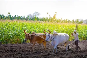 बरेली: बिथरी और भुता ब्लाक में 2.42 करोड़ से बनेंगे किसान कल्याण केंद्र