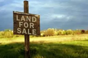 रुद्रपुर: 20 लाख का बयाना देने पर दबंग ने नहीं दिया कब्जा, 4.25 करोड़ में हुआ था जमीन का सौदा