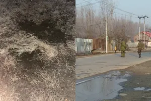 जम्मू कश्मीर: श्रीनगर-बारामूला मार्ग में संदिग्ध वस्तु बरामद, हुई नष्ट, रूकी बड़ी घटना