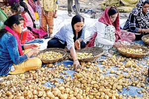 Kanpur News: गुरु तेग बहादुर शहीदी दिवस पर आज दो लाख श्रद्धालु छकेंगे लंगर… मोतीझील में भक्ति की बहेगी बयार 