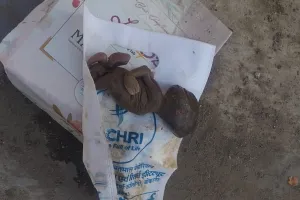 बरेली: नर्सिंग होम के बाहर मिला चार माह का भ्रूण, कुत्तों ने नोचा