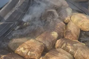 UP: कार में लगी आग… बोनट खोलते ही देखकर लोगों के उड़े होश, पुलिस ने दो युवक और युवतियां से शुरू की पूछताछ