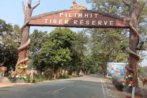 पीलीभीत टाइगर रिजर्व: सीमाओं का होगा डिजिटाइजेशन, जीपीएस से तय होंगी हदें, अफसरों ने शुरू की तैयारी
