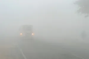 कासगंज: दिन भर कोहरे छाने से नहीं हुए सूर्य के दर्शन, दृश्यता कम होने से सड़कों पर ठहरे वाहनों के चक्के