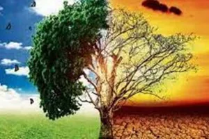 कार्बन सीमा कर गलत 