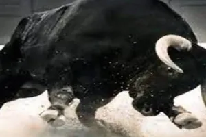 शाहजहांपुर: सांड के हमले से महिला और सेवानिवृत्त रेल कर्मी की मौत