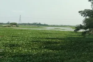 रायबरेली: बकुलही झील को संवारे का नहीं हुआ प्रयास, अपेक्षा बन गई अभिशाप