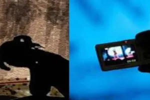 लखनऊ: पत्नी ने एक्स्ट्रा मैरिटल अफेयर किया विरोध, तो  पति ने आपत्तिजनक वीडियो वायरल करने की दी धमकी