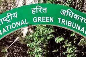 NGT ने 2024 में पर्यावरण संबंधी चिंताओं पर रखी कड़ी नजर, जारी किए कई आदेश