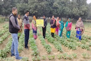 अयोध्या: पोषण वाटिका में खुद उगाइए सब्जियां, परिवार होगा सेहतमंद