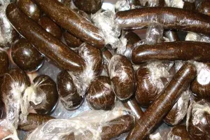 हल्द्वानी: एक किलो चरस के साथ आरोपी गिरफ्तार