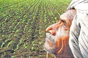 नैनीताल: पहाड़ों में सूखे जैसे हालातों से काश्तकारों ने रबी फसल तक नहीं बोई