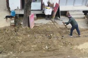 पीलीभीत: अब निरंजन कुंज कॉलोनी में पाइप लाइन की खुदाई बन गई मुसीबत