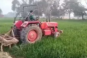 रायबरेली: डीएम की कार्रवाई से मचा हड़कंप, चारागाह और तालाब की 13 बीघा जमीन कराई गई कब्जा मुक्त