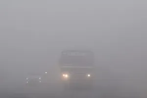 मुरादाबाद : कोहरे में लिपटी सुबह, न्यूनतम तापमान 5 डिग्री रहने से बढ़ी ठिठुरन