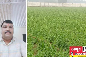 Special Story: Unnao में परंपरिक खेती को छोड़ आधुनिक खेती से कम समय में ’ज्ञानू’ तैयार कर रहे फसल
