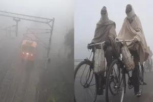 रामपुर : छाया कोहरा, शीतलहर चलने से छूटी कंपकंपी...बरतें सावधानियां