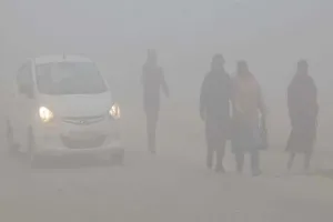 रायबरेली: सर्दी से राहत की उम्मीद कम, पाला पड़ने से किसान परेशान 