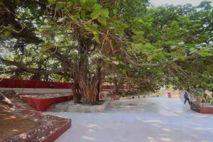 प्रयागराज: मनकामेश्वर की महिमा का स्वयं प्रभु श्रीराम ने किया था गुणगान, इसी अक्षयवट के नीचे किया था विश्राम