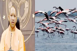नेचर एवं बर्ड फेस्टिवल का आयोजन कराएगी योगी सरकार, उन्नाव पक्षी विहार से होगी शुरुआत
