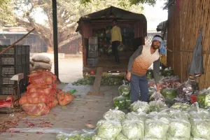 पीलीभीत: हड़ताल खत्म.. वाहनों ने भरी रफ्तार, पटरी पर लौटने लगी जिंदगी