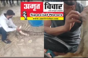 बदायूं: पशु क्रूरता पर लिखवाई रिपोर्ट, घायल सांप का दिल्ली भेजकर कराया इलाज...ऐसा है यह पशु प्रेमी