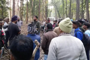 पीलीभीत: ईंधन के लालच में जोखिम में डाली जान, अफसर बोले- जंगल में ग्रामीण की करा रहे तलाश, घटना अभी पूरी तरह साफ..जांच जारी